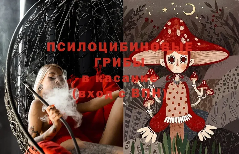 Галлюциногенные грибы Magic Shrooms Медынь